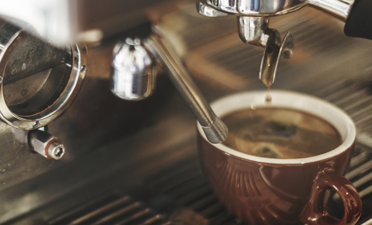 ������ �Ƹ޸�ī��